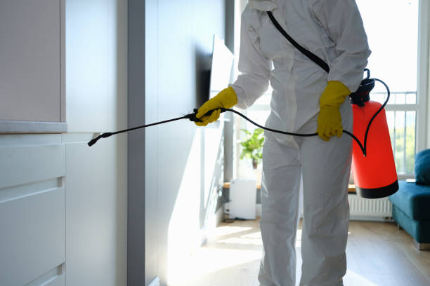 Best Residential Mold Remediation in Vashon, WA
