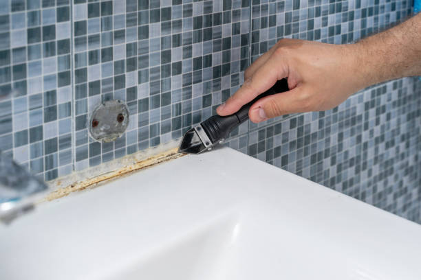  Vashon, WA Mold Removal Pros