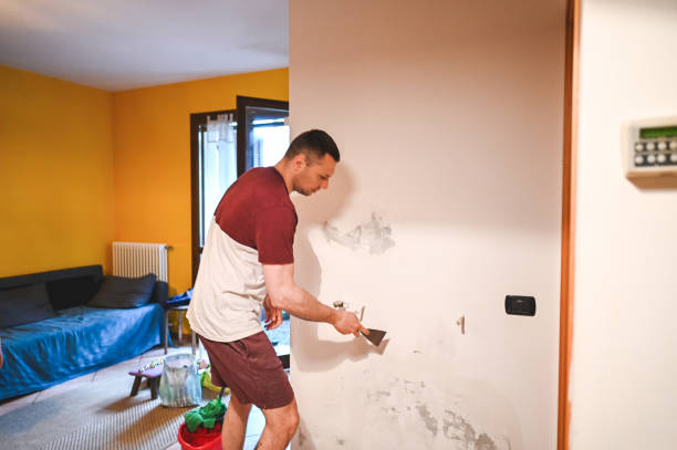 Best Insurance-Related Mold Remediation in Vashon, WA