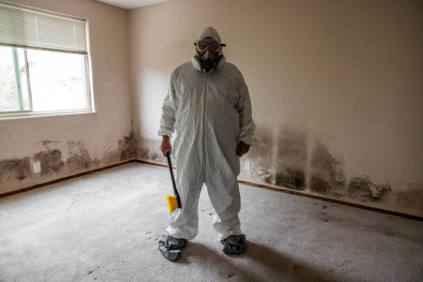 Best Emergency Mold Remediation in Vashon, WA